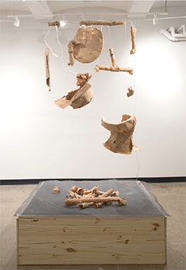 Selena Ingram Fragile Morphologies of Pulp Bodies, 2019, test installation