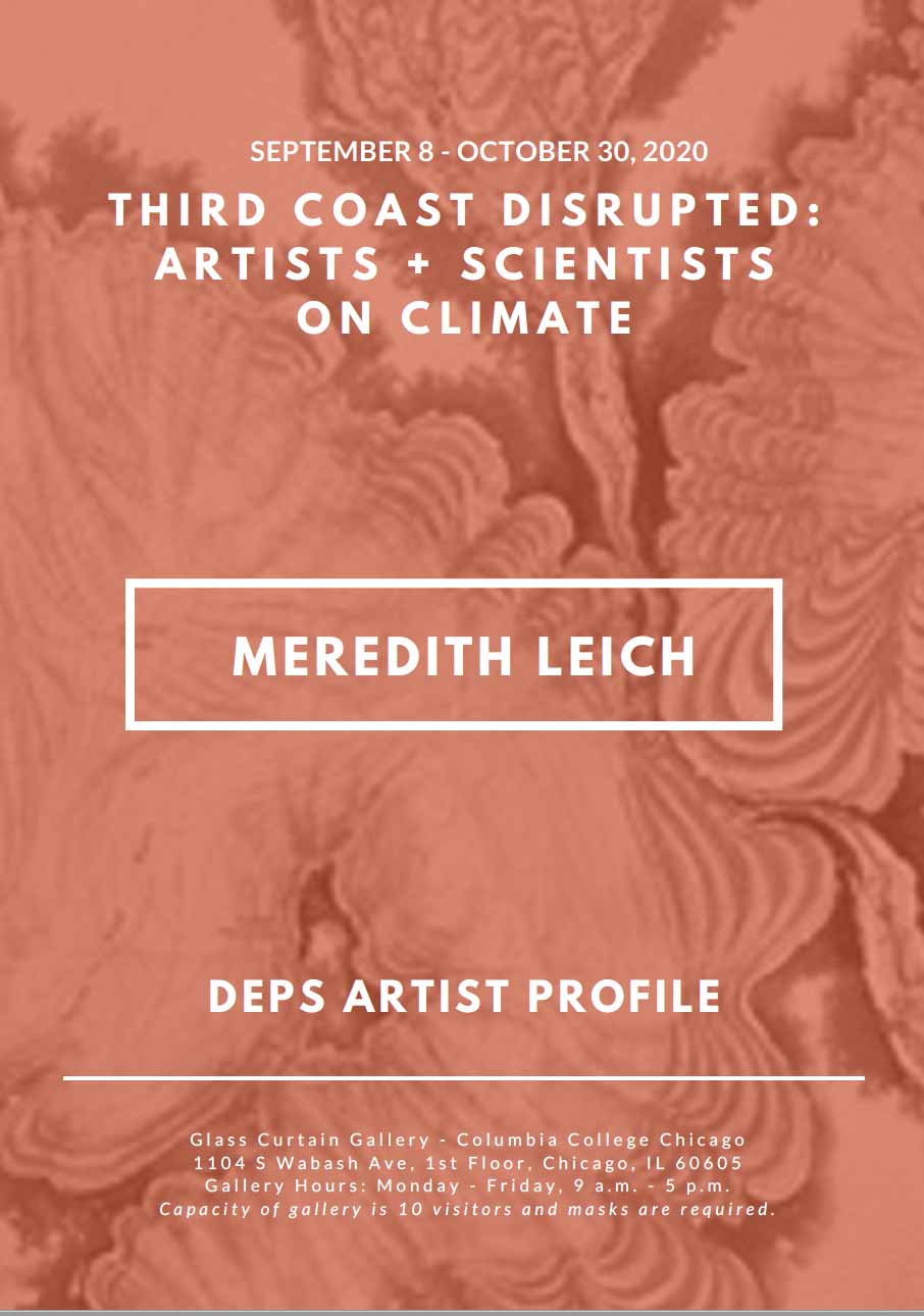 Leich artist profile