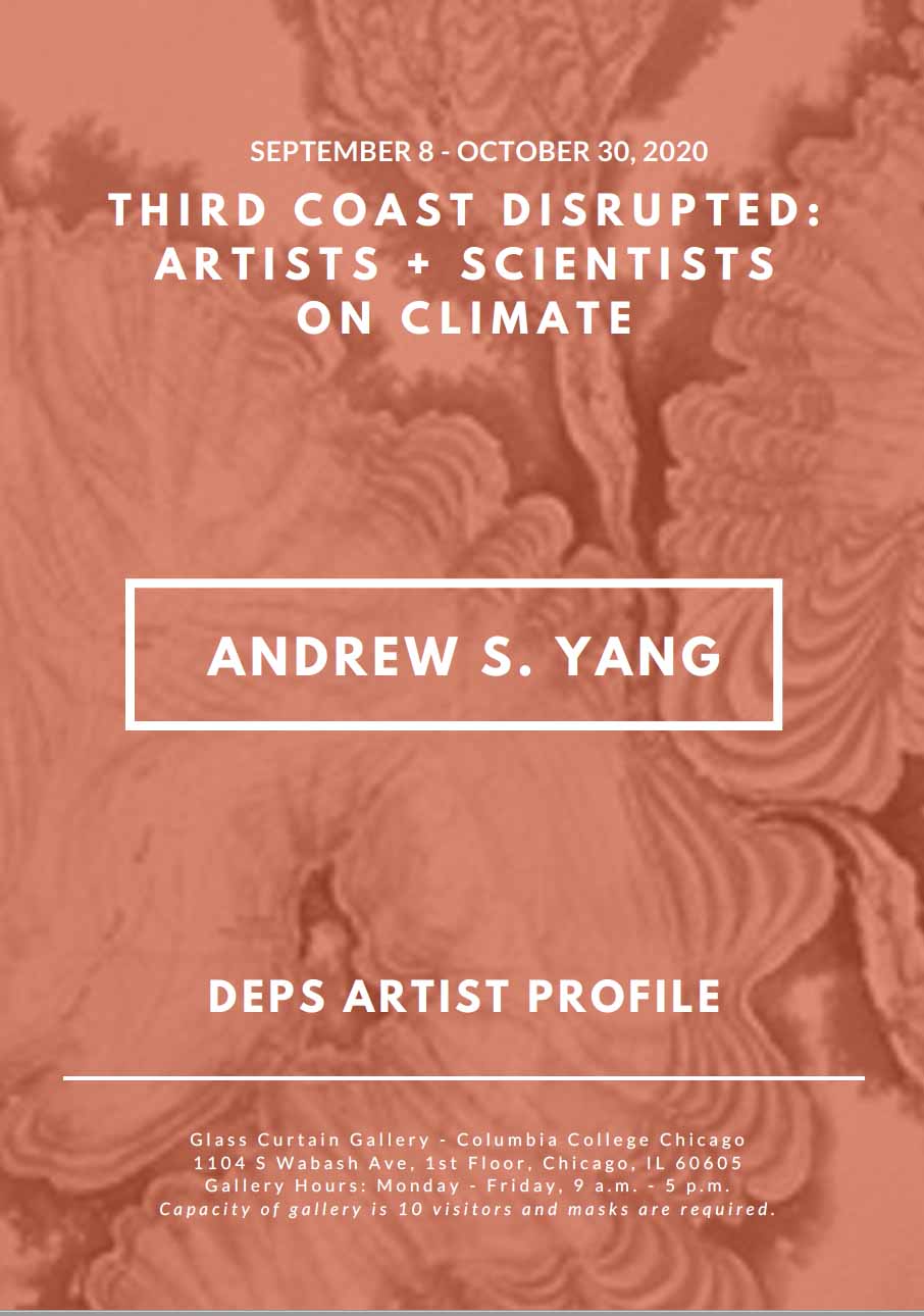 Yang artist profile