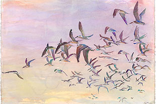 Peggy MacNamara, Flock Left