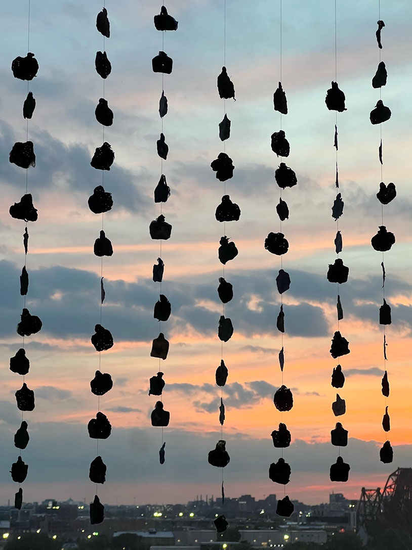 Photograph of sunset with strands hanging in the foreground, they are only visible as black organic shapes (likely of material the artist uses to make handmade paper)