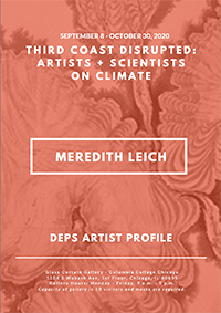 Leich artist profile